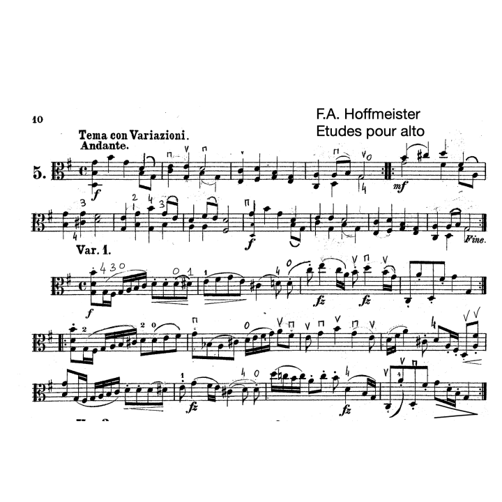 Hoffmeister - 5ème étude