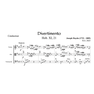 Haydn - Divertimento pour violon alto et violoncelle
