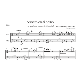 Mozart - Sonate pour alto et violoncelle