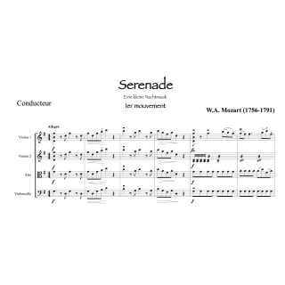 Mozart - Petite musique de nuit