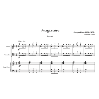 Bizet - Carmen - Violon, violoncelle et harpe (ou piano)
