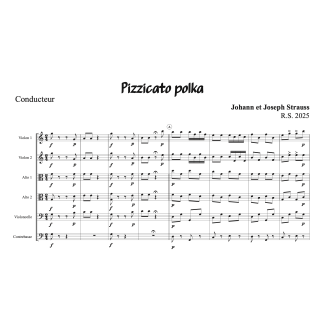 Strauss - Pizzicato Polka - Orchestre à cordes