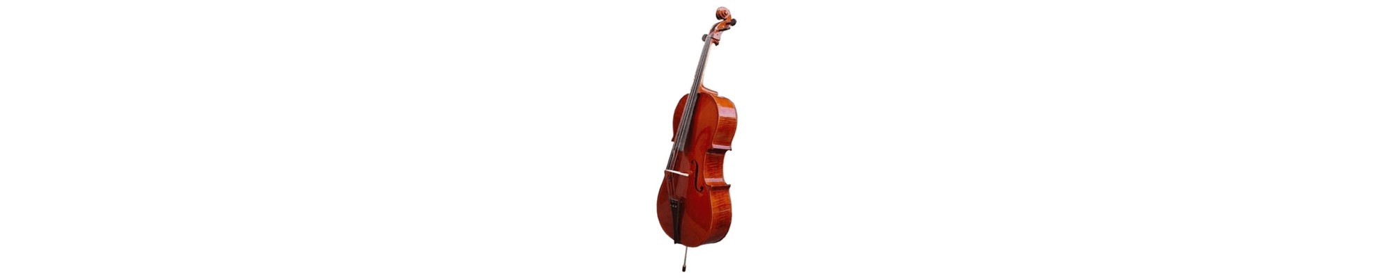 Violoncelle