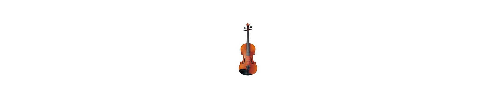 Violon 3ème cycle