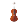 Violoncelle 2nd cycle