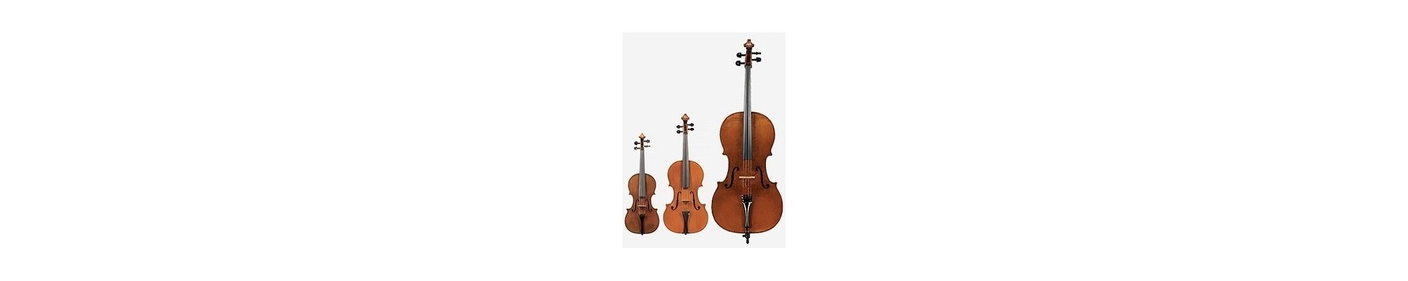 2 violons et violoncelle