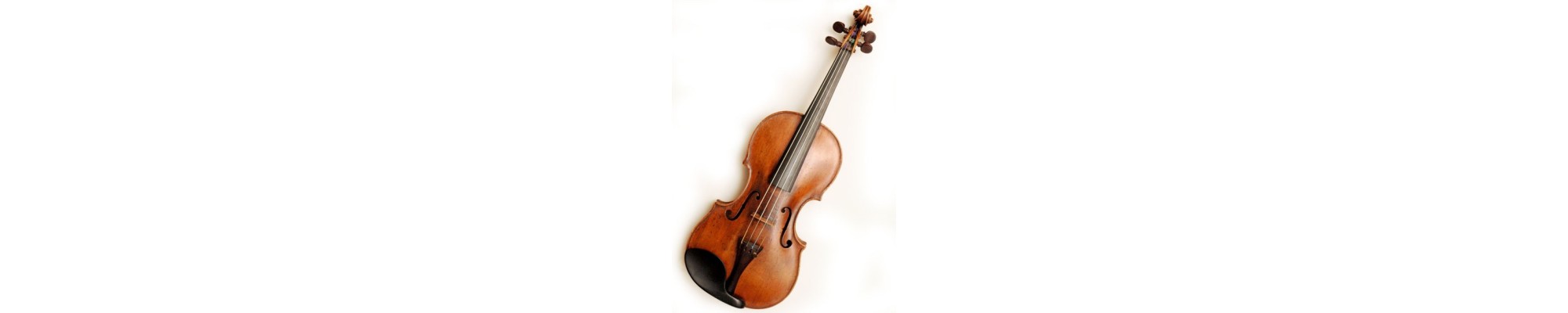 Violon